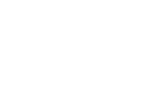 Houston Young Lawyers Foundation