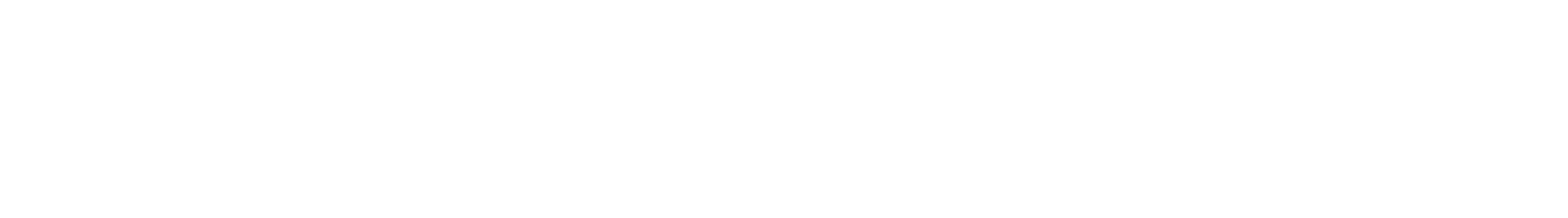 30 years experience
